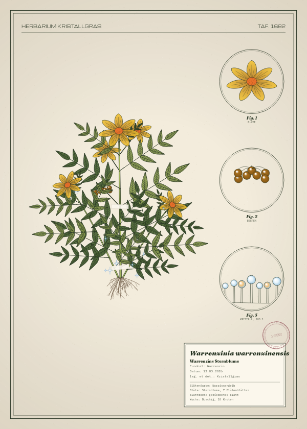 Botanische Tafel: Warrenzinia warrenzinensis, eine erfundene Pflanze aus Warrenzin, gezeichnet wie in einem alten Pflanzenatlas