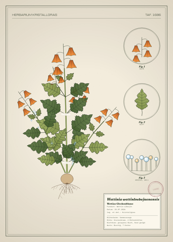 Botanische Tafel: Wettinia wettinloebejuenensis, eine erfundene Pflanze aus Wettin-Löbejün, gezeichnet wie in einem alten Pflanzenatlas