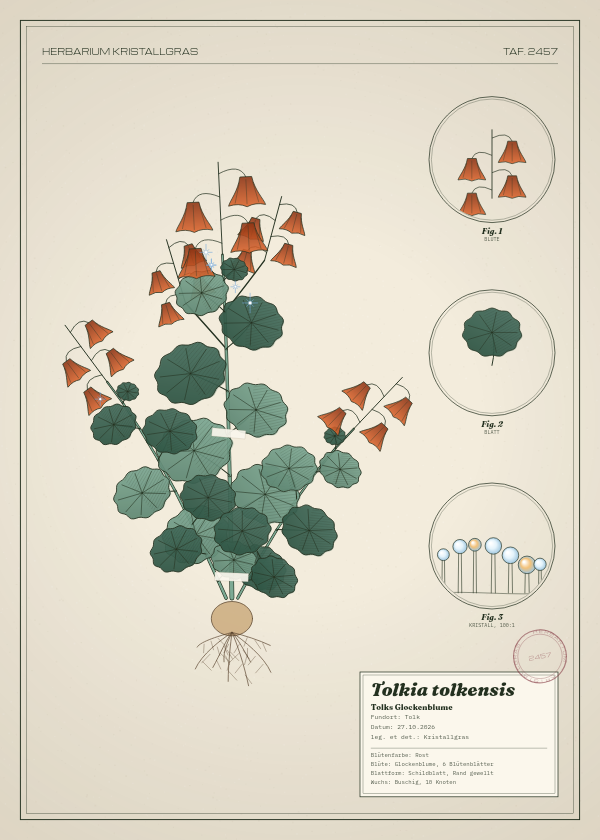 Botanische Tafel: Tolkia tolkensis, eine erfundene Pflanze aus Tolk, gezeichnet wie in einem alten Pflanzenatlas