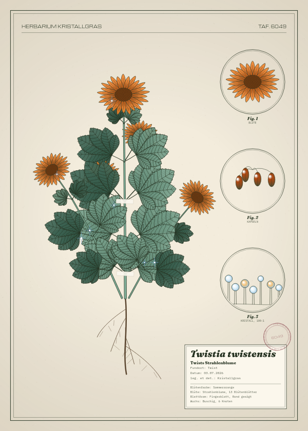 Botanische Tafel: Twistia twistensis, eine erfundene Pflanze aus Twist, gezeichnet wie in einem alten Pflanzenatlas