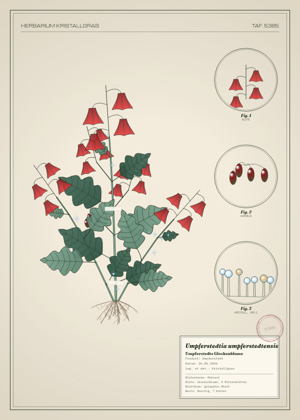 Botanische Tafel: Umpferstedtia umpferstedtensis, eine erfundene Pflanze aus Umpferstedt, gezeichnet wie in einem alten Pflanzenatlas