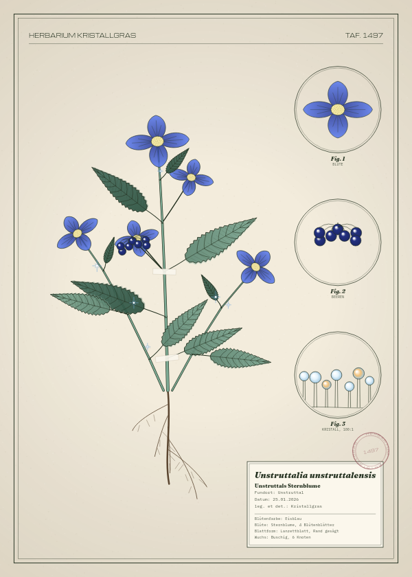 Botanische Tafel: Unstruttalia unstruttalensis, eine erfundene Pflanze aus Unstruttal, gezeichnet wie in einem alten Pflanzenatlas
