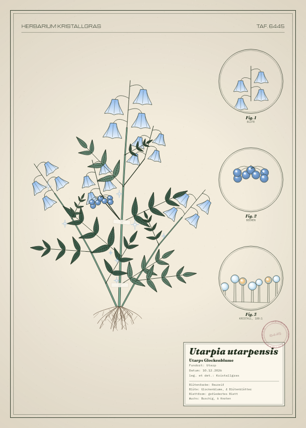 Botanische Tafel: Utarpia utarpensis, eine erfundene Pflanze aus Utarp, gezeichnet wie in einem alten Pflanzenatlas