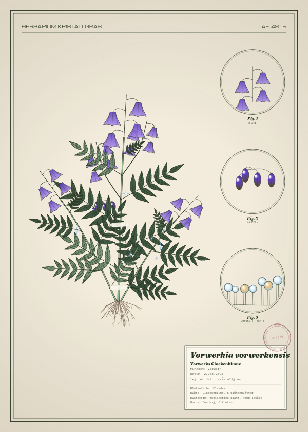 Botanische Tafel: Vorwerkia vorwerkensis, eine erfundene Pflanze aus Vorwerk, gezeichnet wie in einem alten Pflanzenatlas