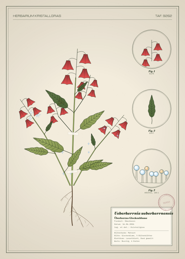 Botanische Tafel: Ueberherrnia ueberherrnensis, eine erfundene Pflanze aus Überherrn, gezeichnet wie in einem alten Pflanzenatlas